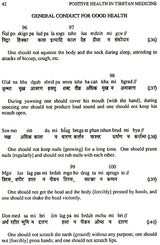 Positive Health in Tibetan Medicine- Vaidya- Jiva- Sutra - Retail Maharaj