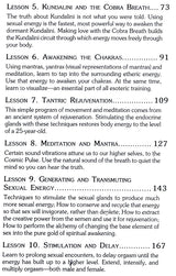 The Tantric Path to Higher Conscious [English] - Retail Maharaj