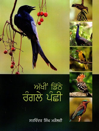Akheen Dithe Rangle Panchi (Punjabi) - Retail Maharaj