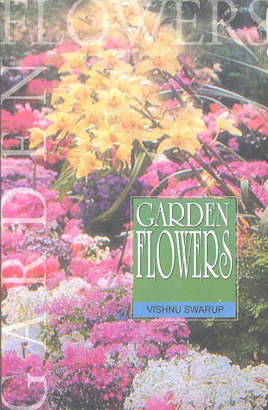 Garden Flowers - Retail Maharaj