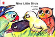 Nine Little Birds - Retail Maharaj