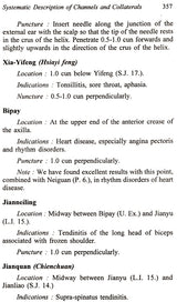 Principles and Practice of Acupuncture (Set of 2 Volumes)