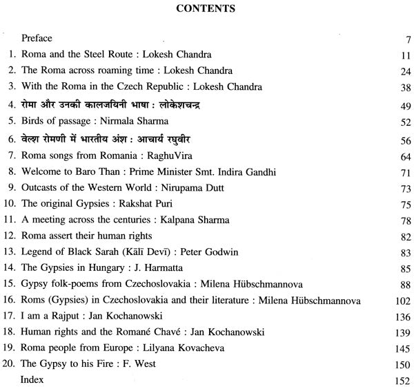 Roma and The Steel Route - Retail Maharaj