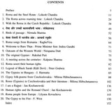 Roma and The Steel Route - Retail Maharaj