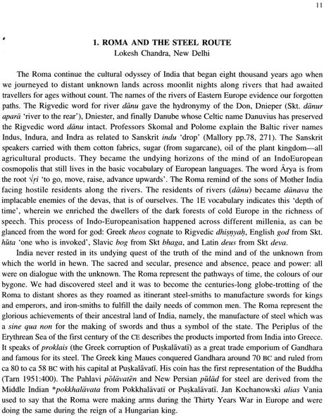 Roma and The Steel Route - Retail Maharaj