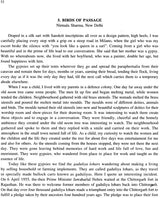 Roma and The Steel Route - Retail Maharaj