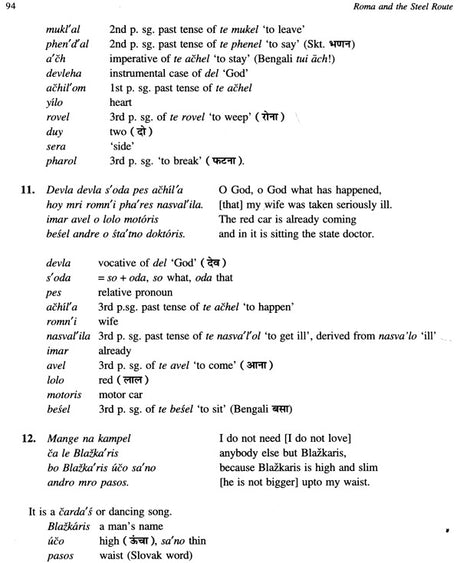 Roma and The Steel Route - Retail Maharaj