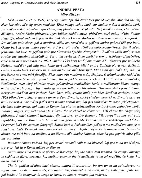 Roma and The Steel Route - Retail Maharaj