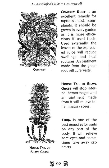 An Astrological Guide to Heal Yourself: Herbs, Health Foods and Your Zodiac [English] By Ada Muir - Retail Maharaj