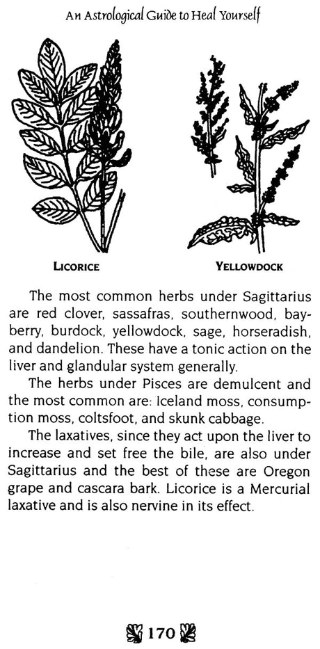 An Astrological Guide to Heal Yourself: Herbs, Health Foods and Your Zodiac [English] By Ada Muir - Retail Maharaj