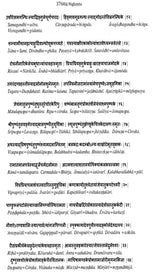 Raj Nighantu (Abhidha nacu damani) - Retail Maharaj