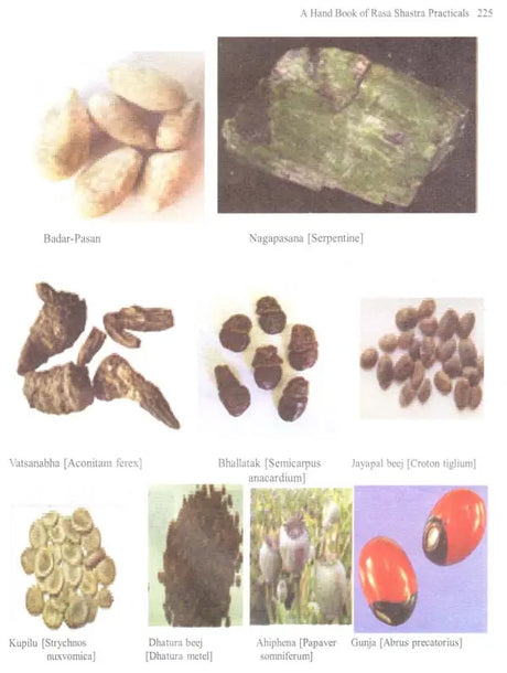 Hand Book of Rasa Shastra Practicals - Retail Maharaj