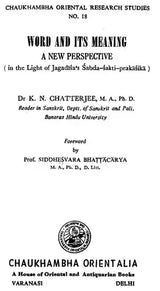 Word and Its Meaning- A New Perspective (An Old and Rare Book) - Retail Maharaj