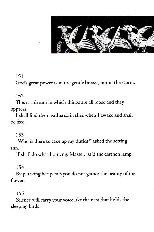 Stray Birds Fireflies and Other Poems - Retail Maharaj