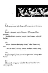 Stray Birds Fireflies and Other Poems - Retail Maharaj