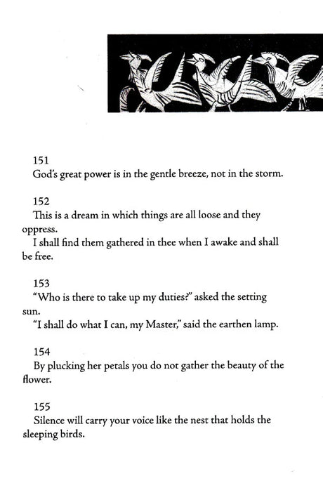 Stray Birds Fireflies and Other Poems - Retail Maharaj