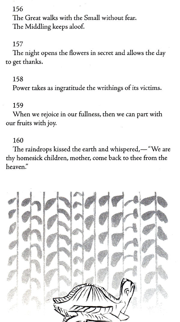 Stray Birds Fireflies and Other Poems - Retail Maharaj