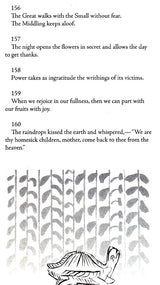 Stray Birds Fireflies and Other Poems - Retail Maharaj