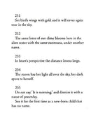 Stray Birds Fireflies and Other Poems - Retail Maharaj