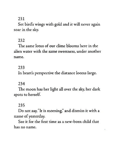 Stray Birds Fireflies and Other Poems - Retail Maharaj