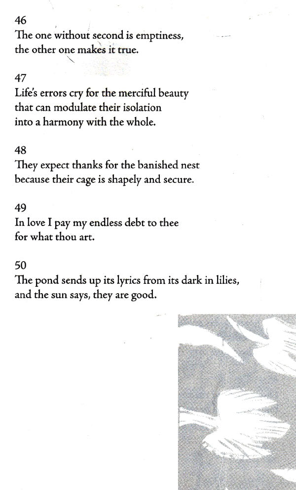 Stray Birds Fireflies and Other Poems - Retail Maharaj