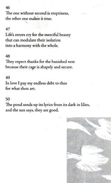 Stray Birds Fireflies and Other Poems - Retail Maharaj