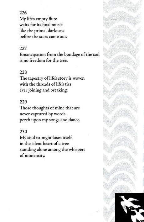 Stray Birds Fireflies and Other Poems - Retail Maharaj