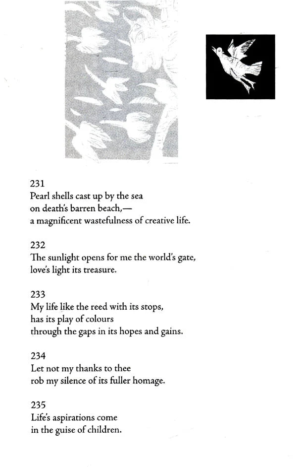 Stray Birds Fireflies and Other Poems - Retail Maharaj