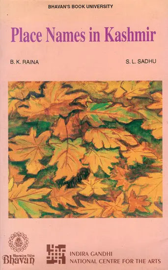 Place Names in Kashmir (An Old and Rare Book) - Retail Maharaj