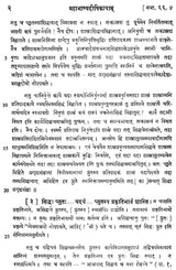 Mahabhasya Dipika of Bhartrhari - Fascicule II : Ahnika V (An Old and Rare Book) - Retail Maharaj