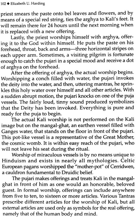 Kali: The Black Goddess of Dakshineshwar [English] - Retail Maharaj