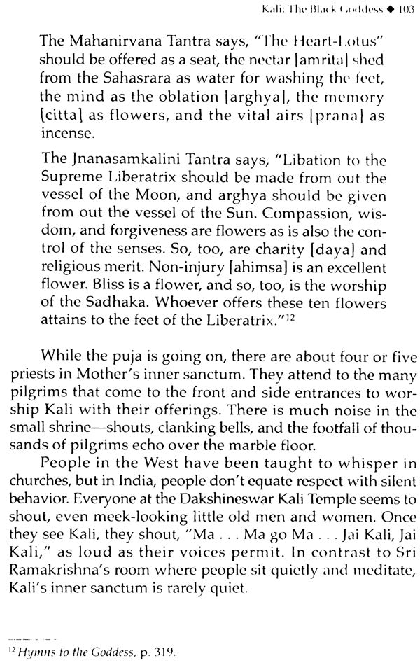 Kali: The Black Goddess of Dakshineshwar [English] - Retail Maharaj