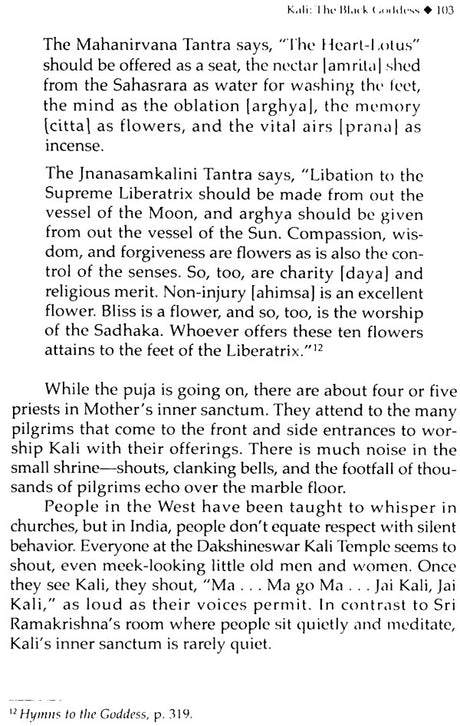Kali: The Black Goddess of Dakshineshwar [English] - Retail Maharaj