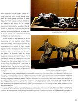Vessels of Fire: The Department of Sculpture, Kala Bhavana- Its History, Creativity and Pedagogy - Retail Maharaj