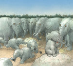 नीना आणि मांजर - Retail Maharaj