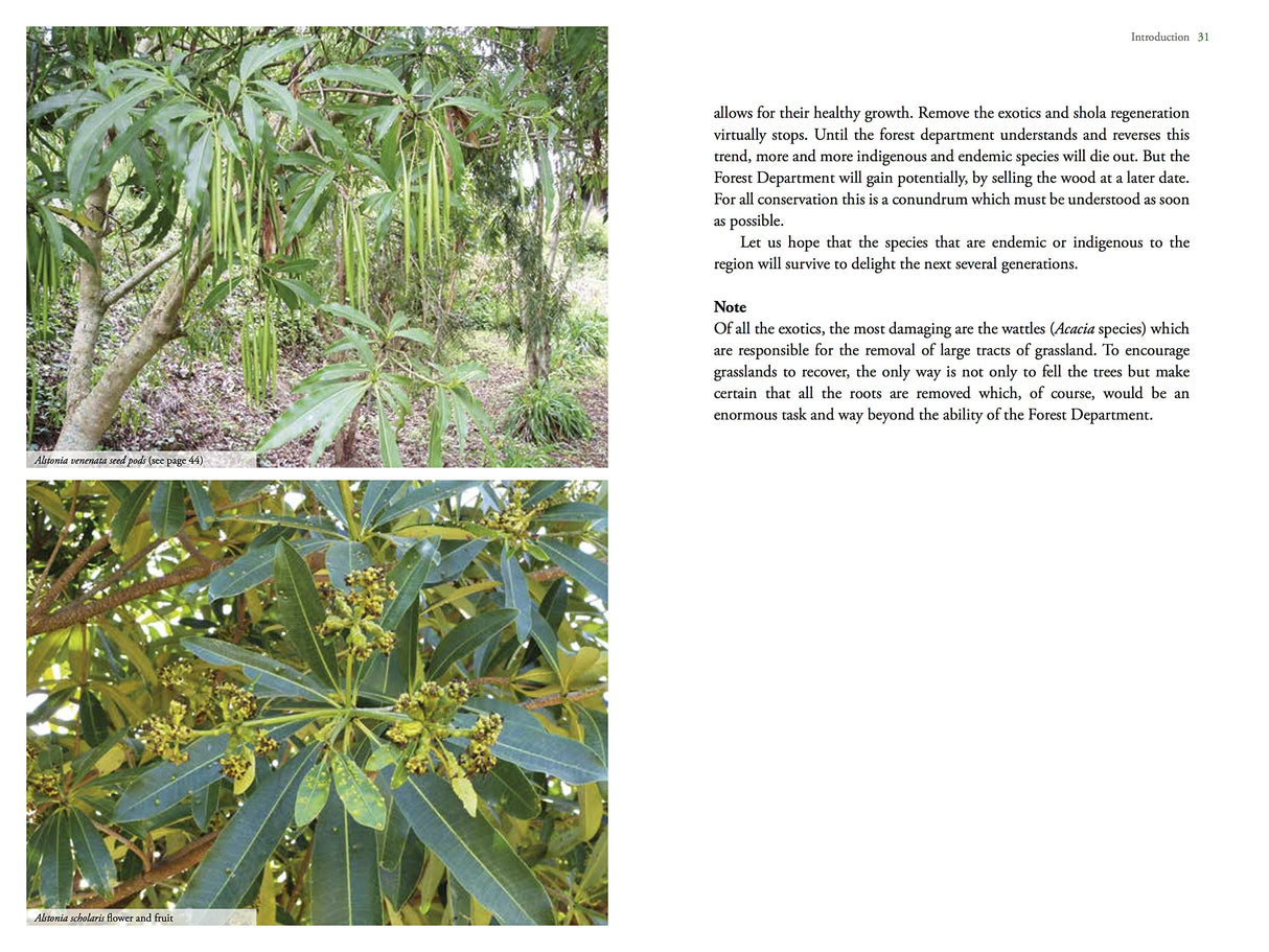 Flora of the Southern Western Ghats and Palnis - Retail Maharaj