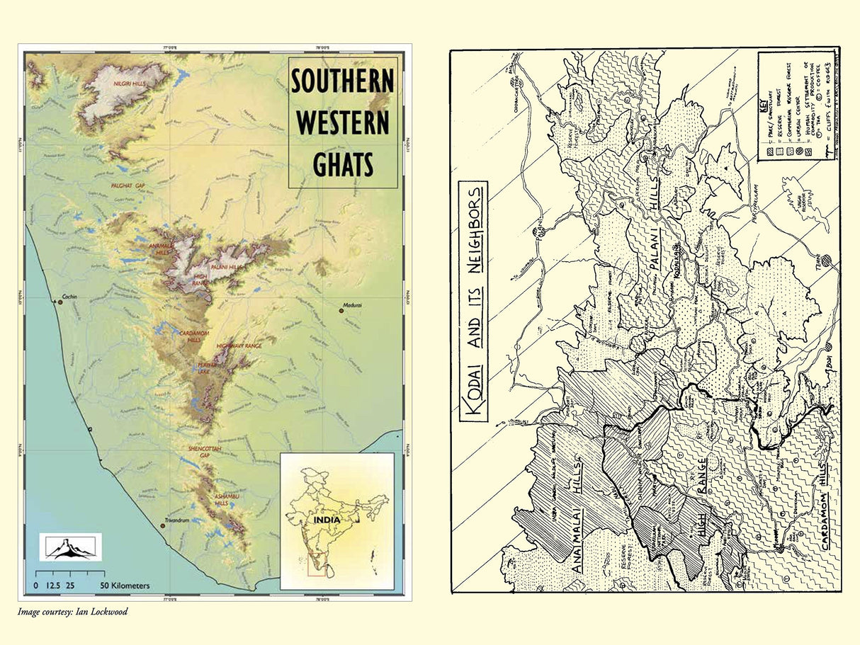 Flora of the Southern Western Ghats and Palnis - Retail Maharaj
