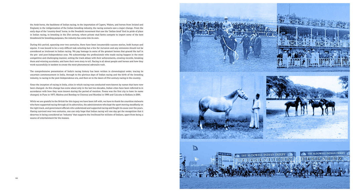 Horse Racing in India: A Royal Legacy - Retail Maharaj