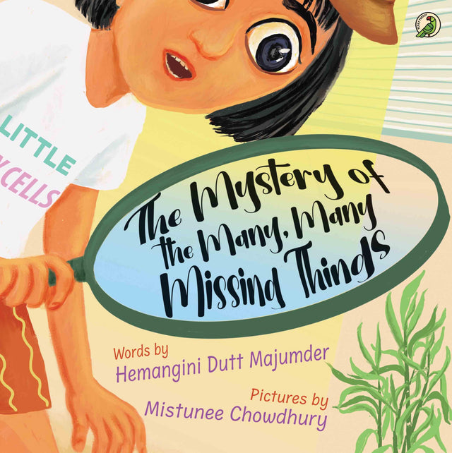 The Mystery of the Many Many Missing Things - Retail Maharaj