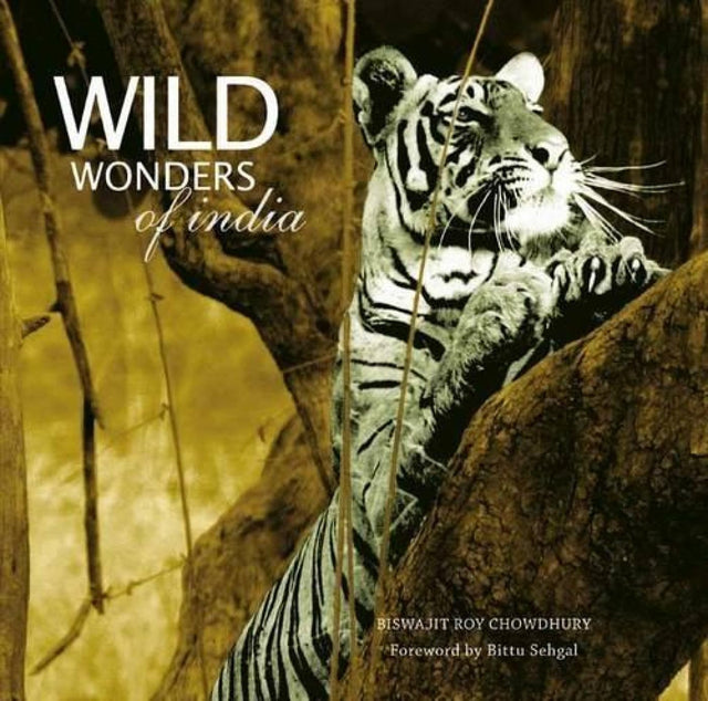 Wild Wonders of India - Retail Maharaj