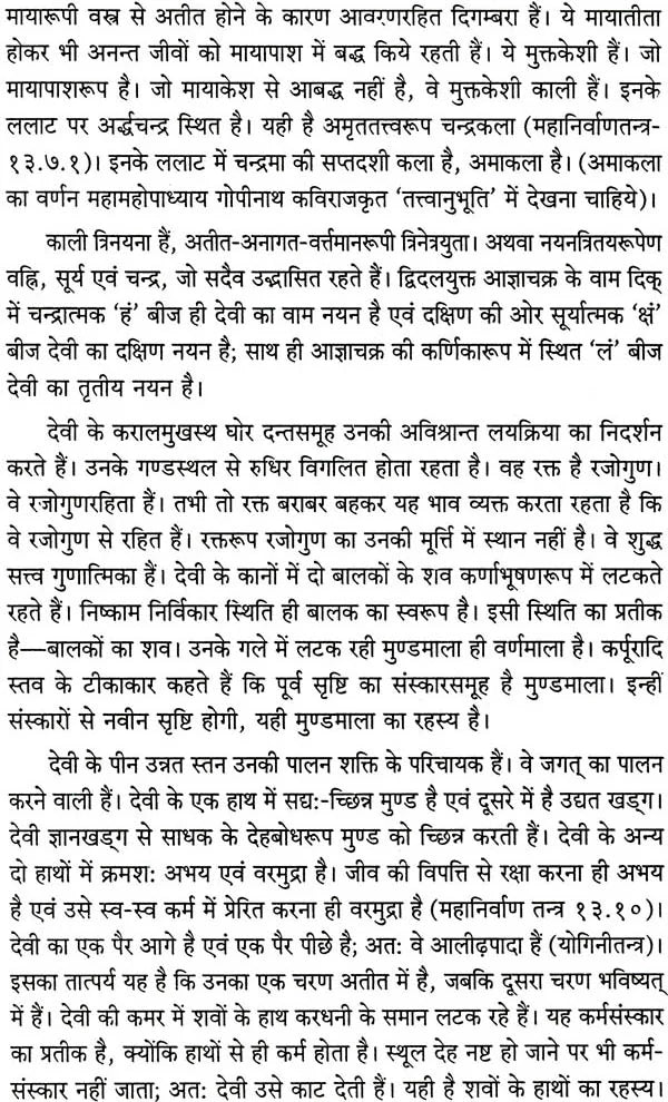 Kalitantram Rudrachanditantram [Hindi] - Retail Maharaj