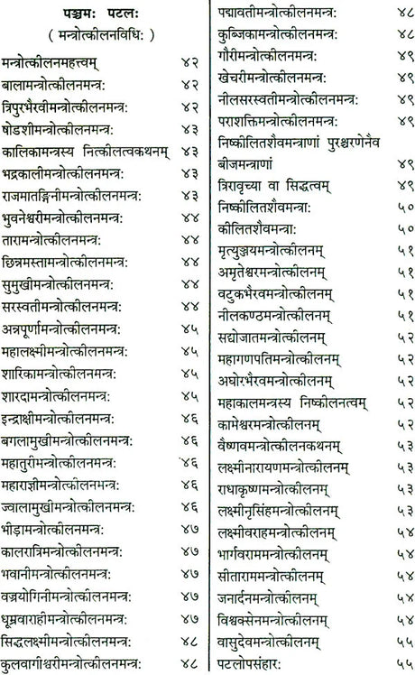 Shri Devi Rahasyam from the Rudrayamal Tantra (Set of 2 Volumes) - Retail Maharaj