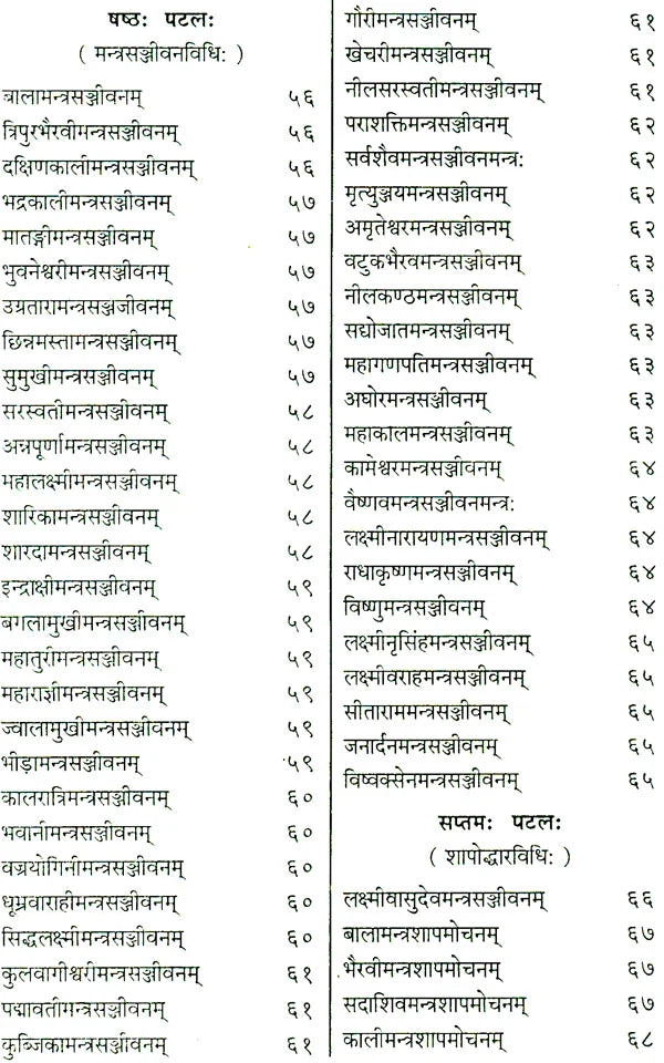 Shri Devi Rahasyam from the Rudrayamal Tantra (Set of 2 Volumes) - Retail Maharaj