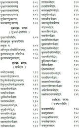 Shri Devi Rahasyam from the Rudrayamal Tantra (Set of 2 Volumes) - Retail Maharaj