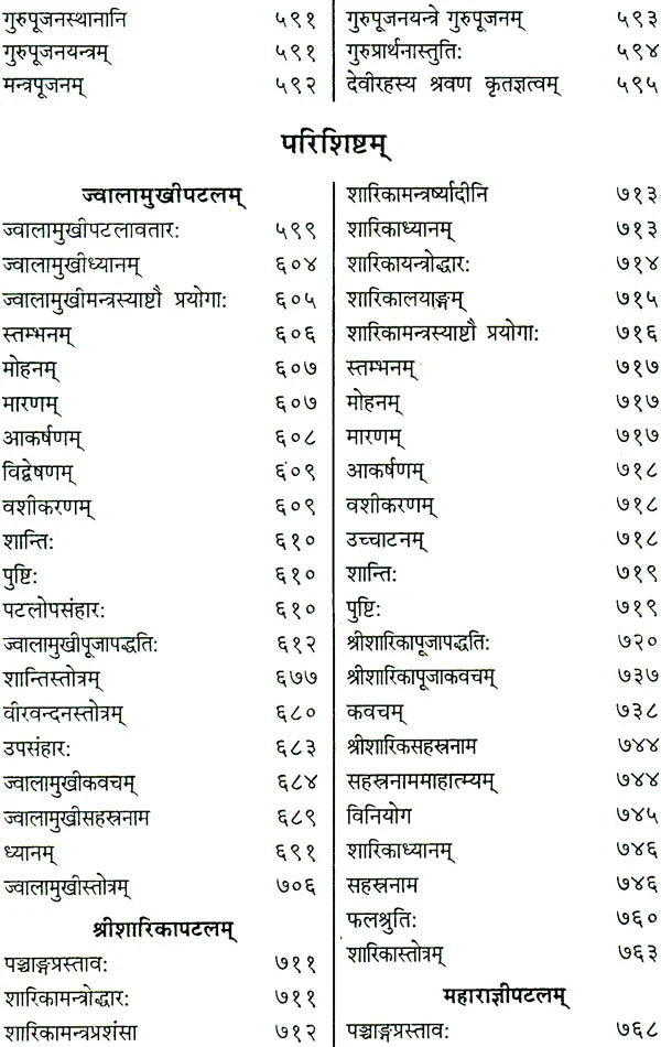 Shri Devi Rahasyam from the Rudrayamal Tantra (Set of 2 Volumes) - Retail Maharaj