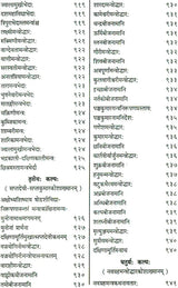 Shri Devi Rahasyam from the Rudrayamal Tantra (Set of 2 Volumes) - Retail Maharaj