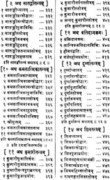 Shakta Pramoda - Retail Maharaj