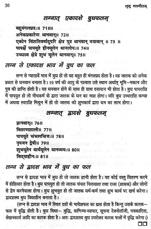 भृगु नवनीतम् (भृगु सूत्र तथा भृगु संहिता पर आधारित): Based on Bhrigu Sutra and Samhita - Retail Maharaj