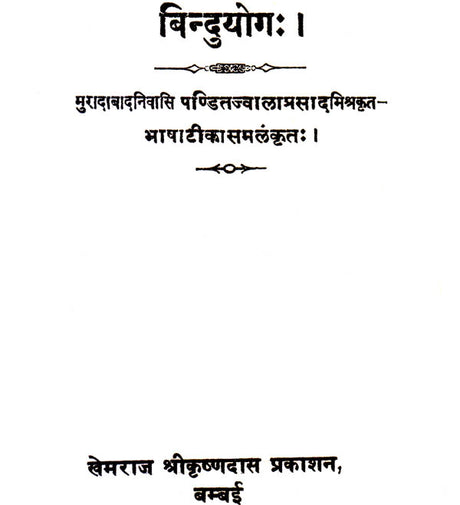 Bindu Yoga - Retail Maharaj