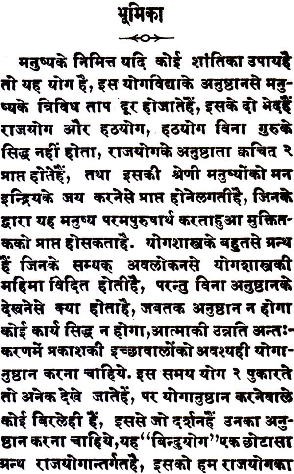 Bindu Yoga - Retail Maharaj